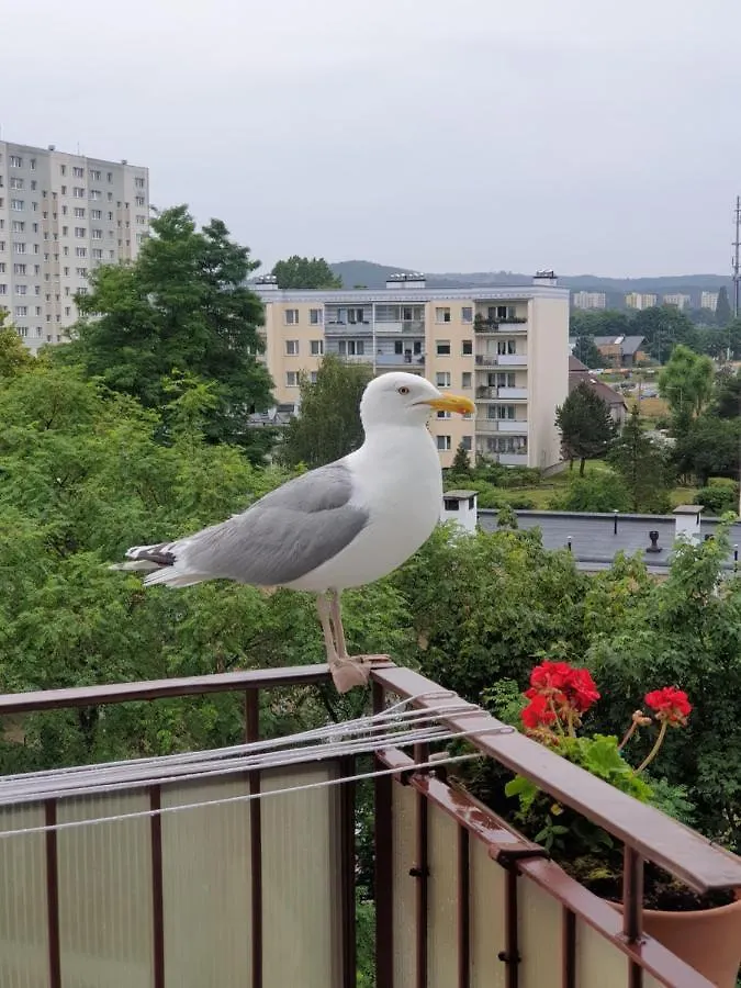 Przestronny Apartament Gdansk Jelitkowo, Blisko Morza 2-Pokoje 47M2 Apartamento